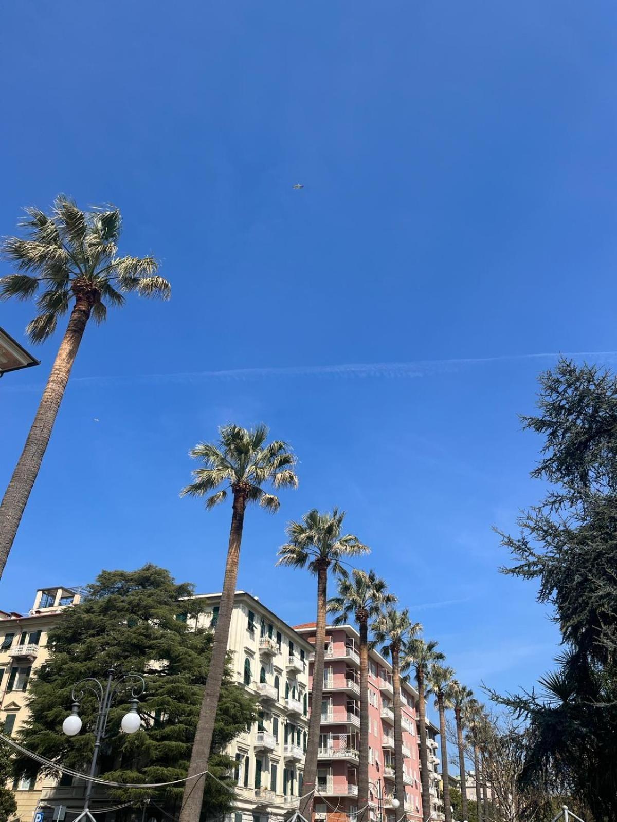 Breathe Liguria - Lucy 1 Bedroom And 1 In A Newly Renovated Nineteenth-century Building In The Historic Center Near The Sea Affittacamere *